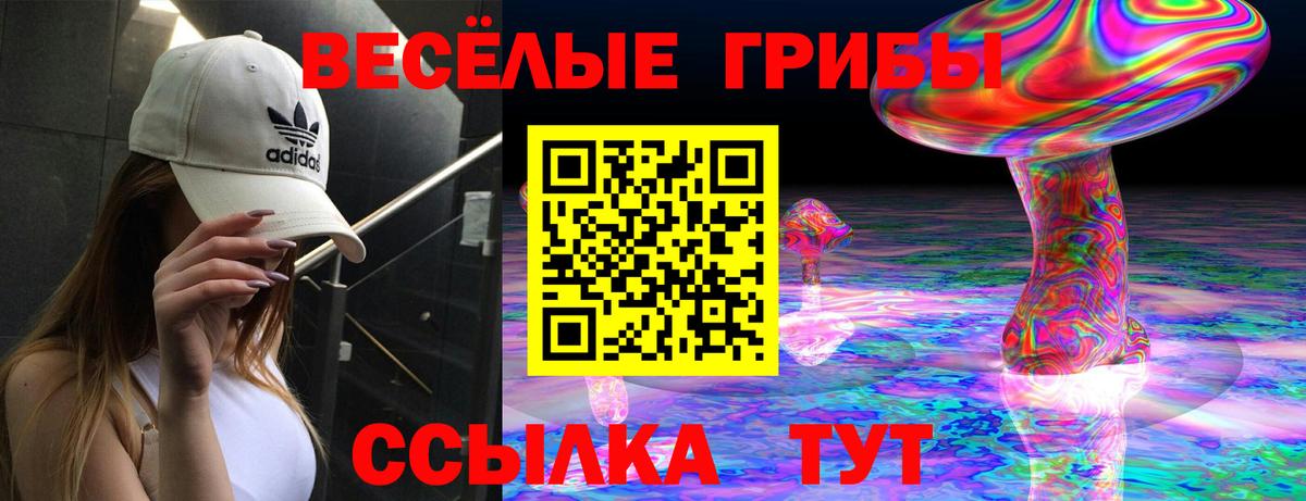 Амурск  Галлюциногенные грибы Cubensis  Вход с VPN  купить закладку  Псилоцибиновые грибы Psilocybe 